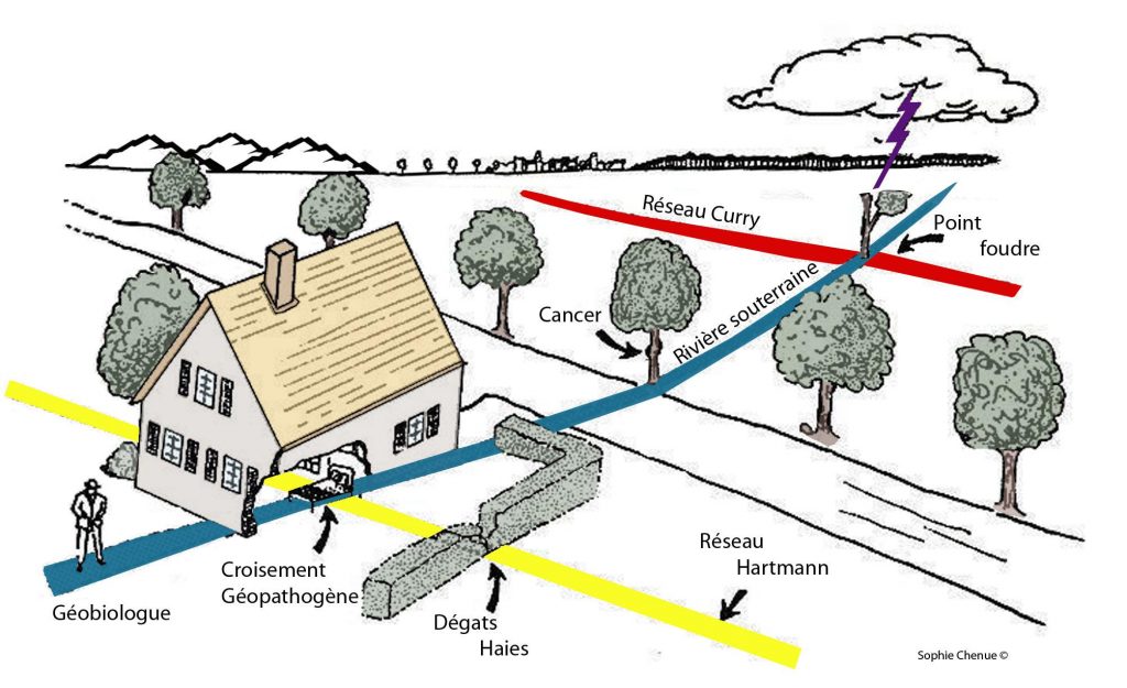 Les différentes sources de perturbations d'un lieu